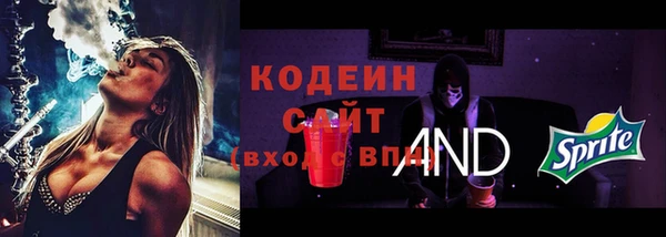 спиды Каменногорск