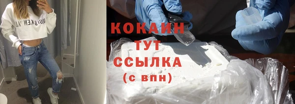 спиды Каменногорск