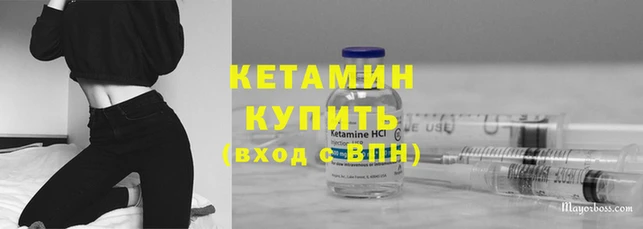 спиды Каменногорск