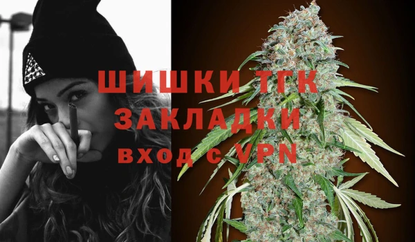 спиды Каменногорск