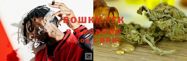 спиды Каменногорск