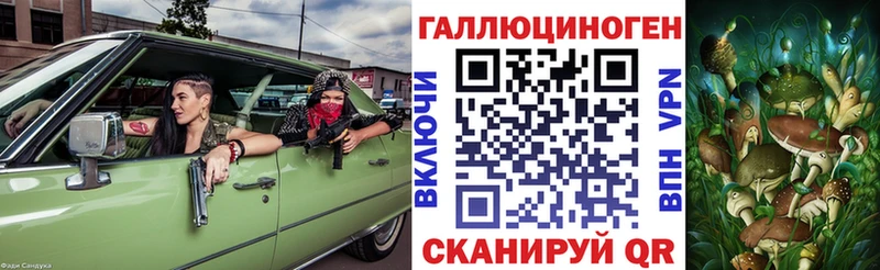 Псилоцибиновые грибы Psilocybine cubensis  Купить  Бородино 
